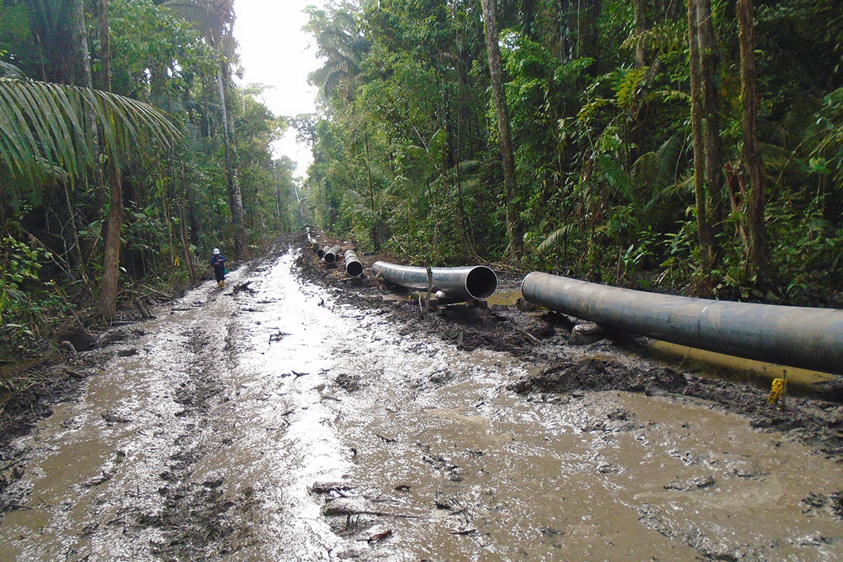 DESARROLLO DE LAS OBRAS DE CONSTRUCCIÓN DEL CAMPO TIPUTINI DEL BLOQUE 43 CRUDOS PESADOS